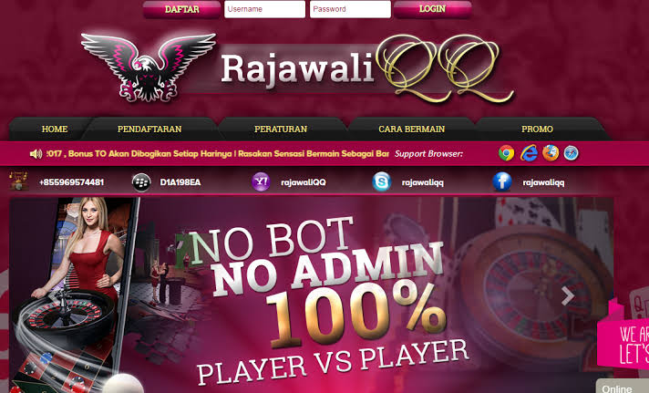 rajawaliqq